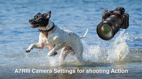 A7RIII Camera Settings for Shooting Action, Sports and Wildlife - Mark ...