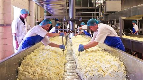 Amazing Cheese Factory Workers And Machines On Another Level - YouTube