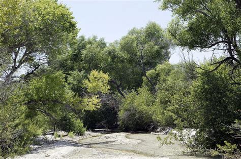 Wildlands of the Santa Clara River Watershed – Friends of the Santa ...