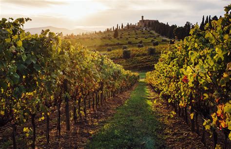 The 8 Best Tuscan Wine Tours of 2022