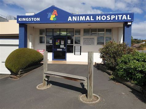 Kingston Animal Hospital