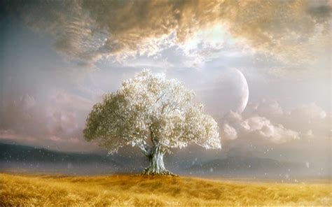 🔥 [50+] Tree of Life Desktop Wallpapers | WallpaperSafari