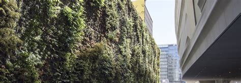 Nation’s largest green wall of native plants breathes life into SFMOMA