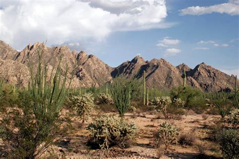 Sonoran Desert & Ecoregion (Mexico) | LAC Geo