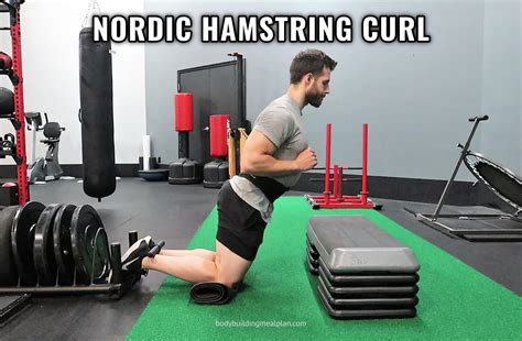 Nordic Hamstring Curl From Beginner To Advanced