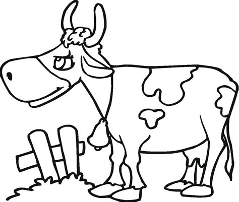 Cow 6 Coloring Page - Free Printable Coloring Pages for Kids