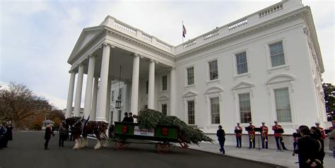 2023 White House Christmas Tree From Ashe County Arrived On Monday ...