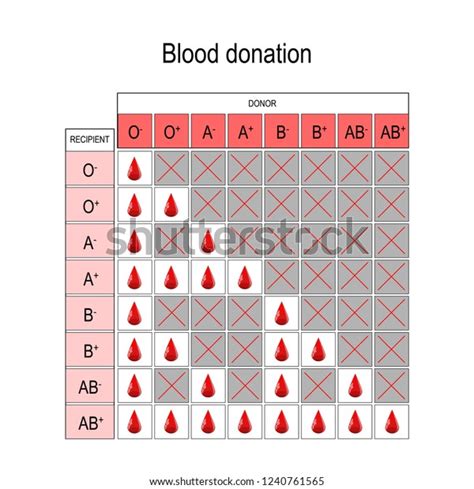 507 Blood Donor Chart Royalty-Free Images, Stock Photos & Pictures | Shutterstock