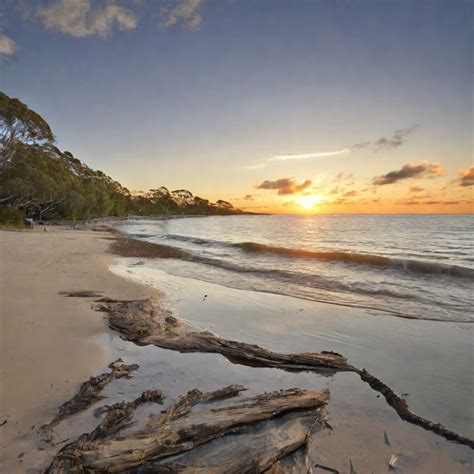 Bongaree Jetty | Digital Organics