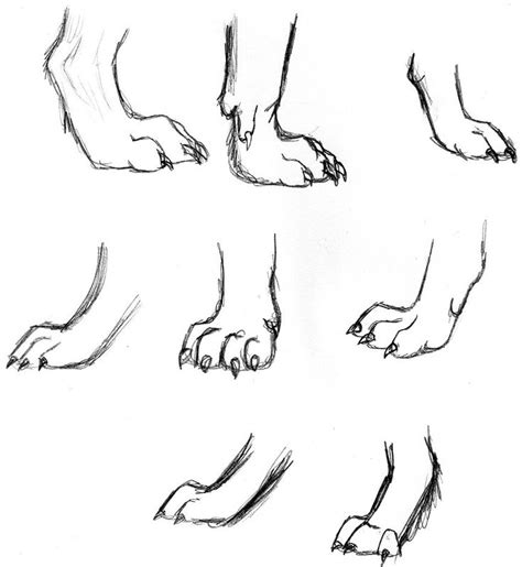 Wolf Study- feet by wolfsilvermoon | Wolf art drawing, Wolf drawing ...