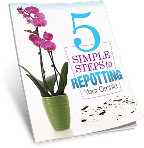 Download 5 Simple Steps to Repotting Your Orchid