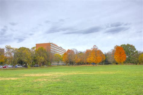 Landscape of the Park in Madison, Wisconsin image - Free stock photo - Public Domain photo - CC0 ...