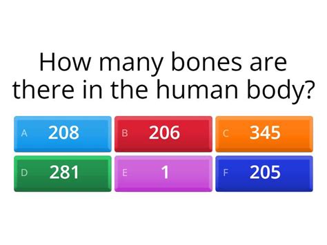 Human Skeleton ??? (short) - Quiz