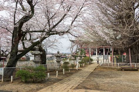 Chiba Temple editorial photography. Image of famous - 148323527