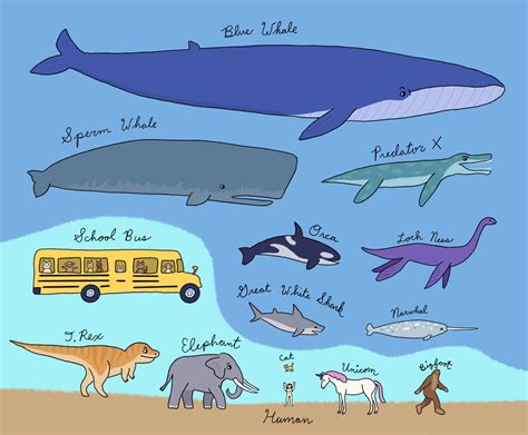 animal fact o'the week: blue whales are bigger than anyone else ever ...