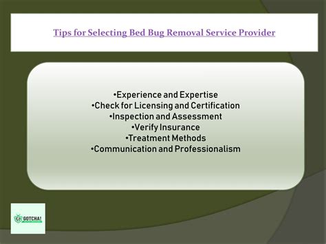 PPT - Tips for Selecting Bed Bug Removal Service Provider PowerPoint ...