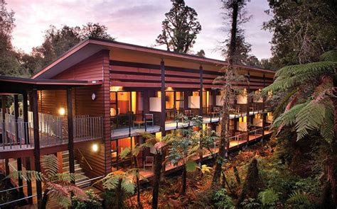 Travel | Forest hotel, Forest resort, Forest lodge