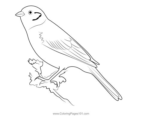 Male Yellowhammer Coloring Page for Kids - Free Buntings Printable ...