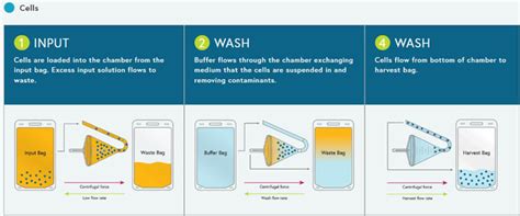 Elutriation: How It Works