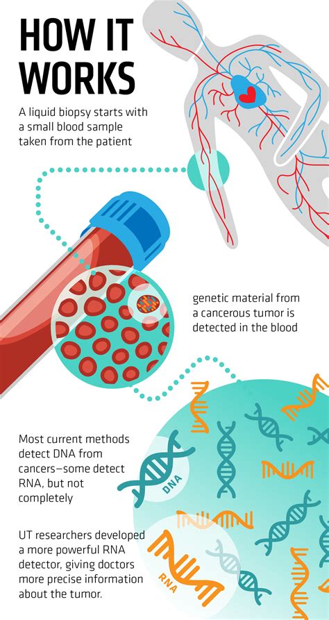 Ancient Enzyme Could Boost Power of Liquid Biopsies to Detect and Profile Cancers - UT News