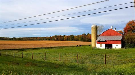 Greetings from Amish country on a beautiful fall morning : r/Ohio