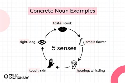 Concrete Nouns: Meaning and Examples | YourDictionary