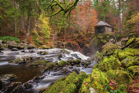 Dunkeld Hermitage, Perthshire, Scotland by Empato