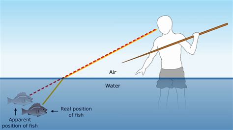 Refraction | Pūtaiao with LSF