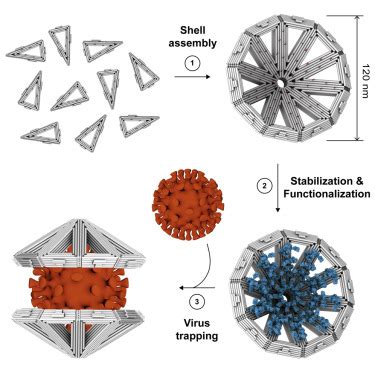 What is DNA origami? - Bioinformatics Hub