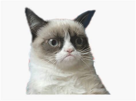 American Flag Fail Gif, Hd Png Download - Grumpy Cat Memes Gif, Transparent Png - kindpng