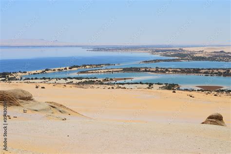 Beautiful surreal oasis in a sandy desert, Fayoum oasis in Sahara ...