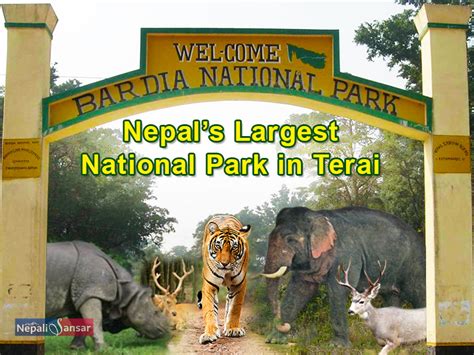 Bardiya National Park- Visit Destination for Amazing Wildlife Experience