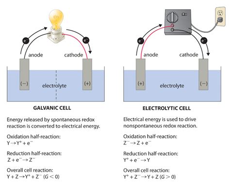 physical chemistry - Positive or Negative Anode/Cathode in Electrolytic/Galvanic Cell ...