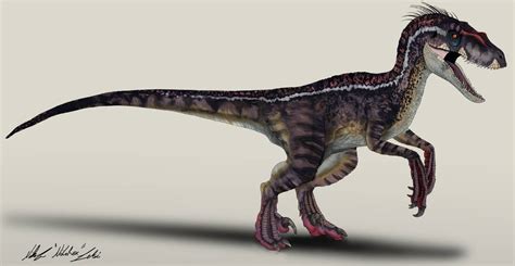 Jurassic Park /// Velociraptor male by NikoRex on DeviantArt