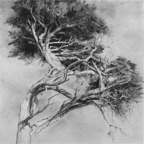 Graphite pencil | Landscape drawings, Artwork, Graphite art