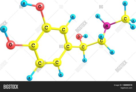 Adrenaline Epinephrine Image & Photo (Free Trial) | Bigstock