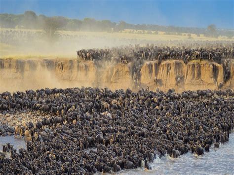 The best 3 days Serengeti migration safari