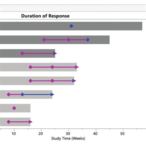 Example of a swimmer plot. This example shows use of a swimmer plot to... | Download Scientific ...