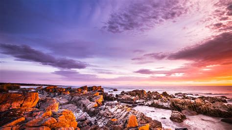 Bay of Fires, Tasmania - backiee