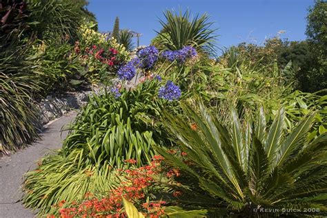 Ventnor Botanic Gardens | Ventnor Botanic Gardens | Flickr