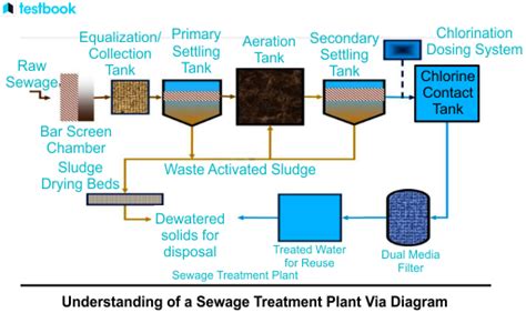 Sewage Treatment Plant (STP): Definition, Process, Advantages & Disadvantages