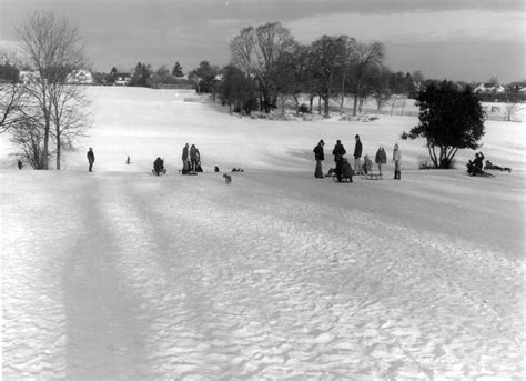 Rothamsted Park | Rothamsted, Green Harpenden | Harpenden History