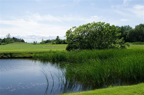 Catamount Country Club - Golf Course Information | Hole19