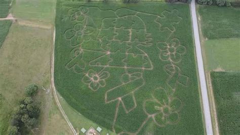 Cove Run Farms Corn Maze open for 23rd season | Autumn Glory | wvnews.com