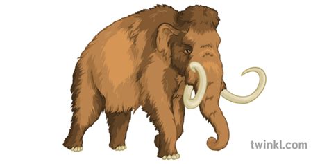 What is a Woolly Mammoth? - Answered - Twinkl Teaching Wiki