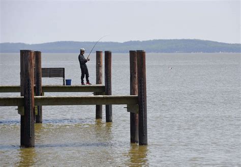 Maryland weather: Clear skies, then rain ahead of sunny Thanksgiving