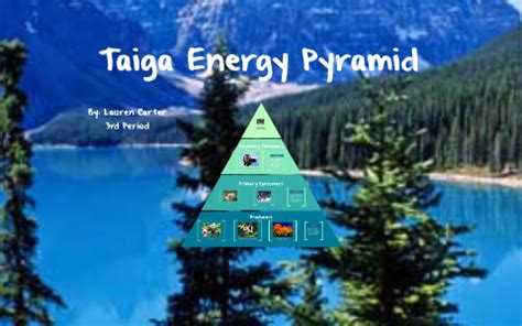 Taiga Energy Pyramid by Lauren Carter on Prezi