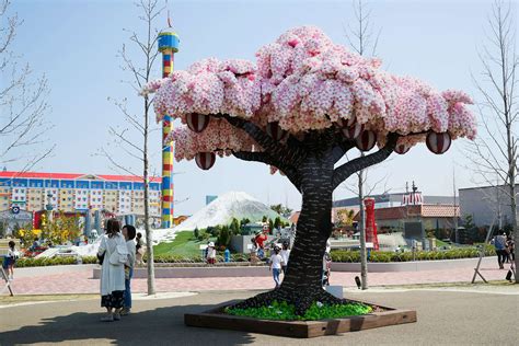 LEGOLAND Japan breaks world record with 800,000 brick sakura tree