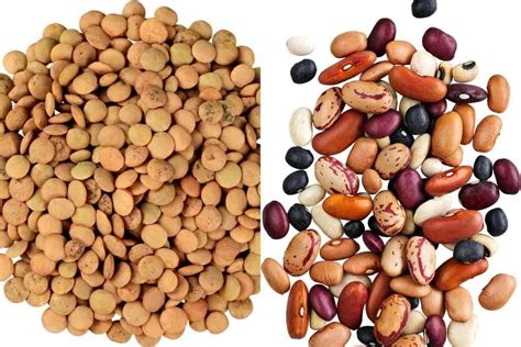 Lentils Vs Beans: What's the Difference?