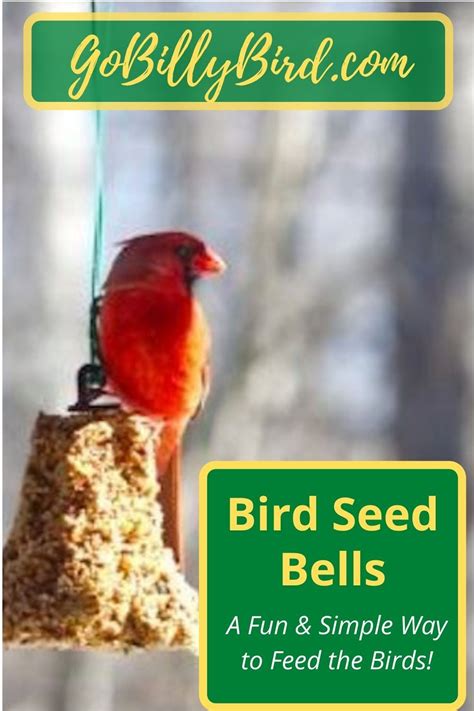 Bird Seed Bells | Backyard birds, Bird seed, Food f